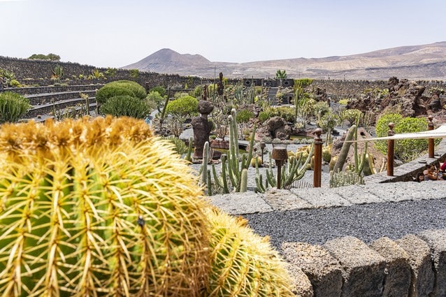 Kaktusárium na Lanzarote