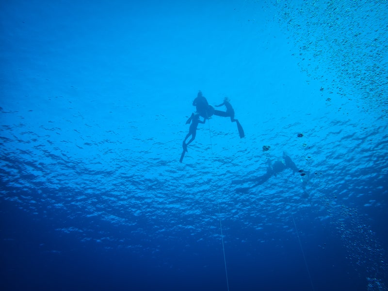 Potápěči v Blue Hole - Rudé moře