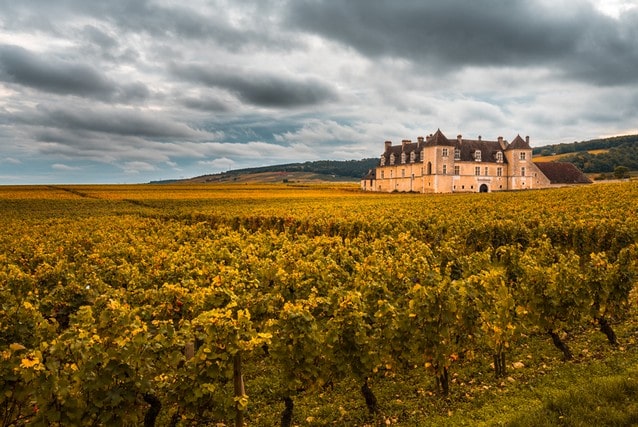 Burgundské vinice na podzim