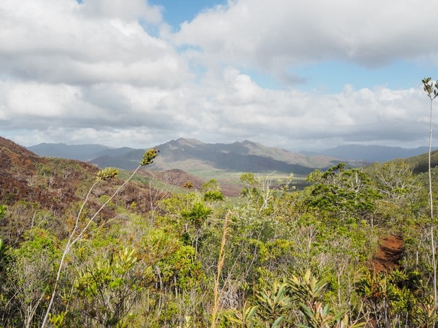 Výhled nad pralesem v Nové Kaledonii