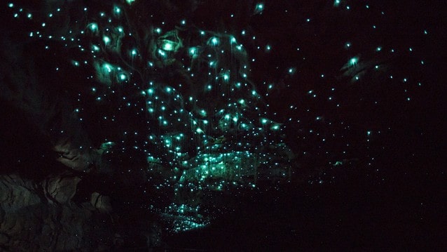Svítící červi v jeskyni Waitomo