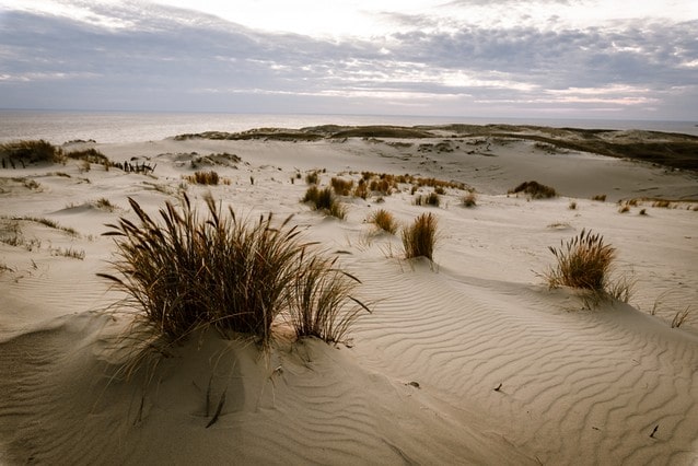 Parnidisova duna na Kurské kose v Litvě