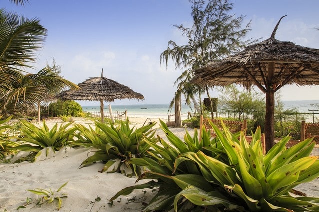 Písečná pláž v Zanzibaru