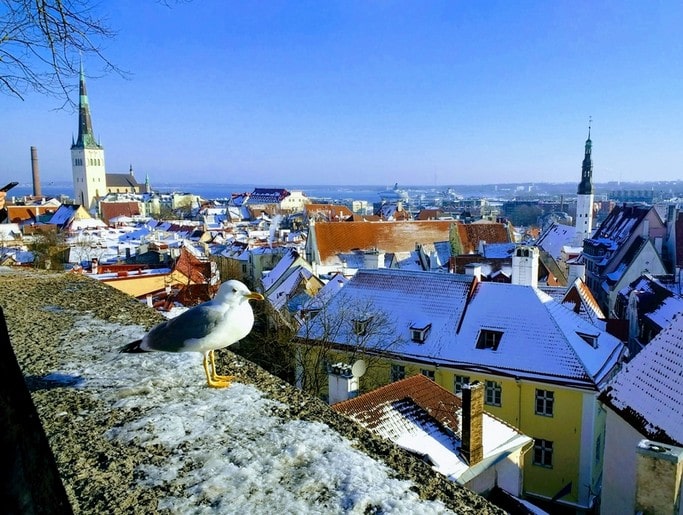 Vánoční Tallin Estonsko magický zimní pohled
