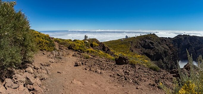  La Palma