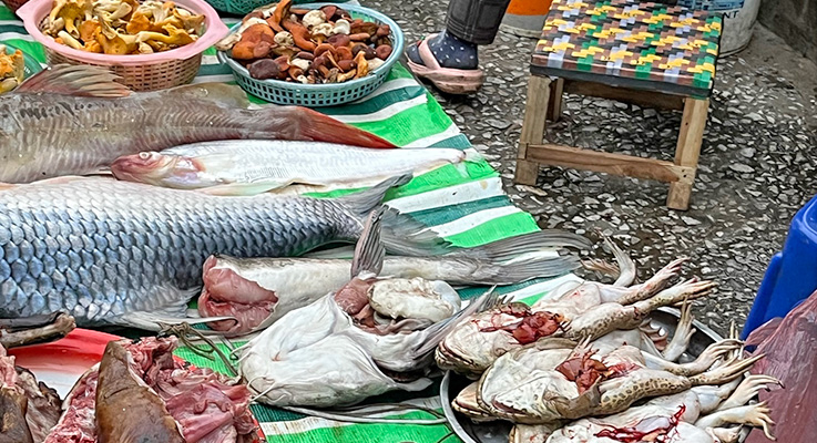 Market in Laos