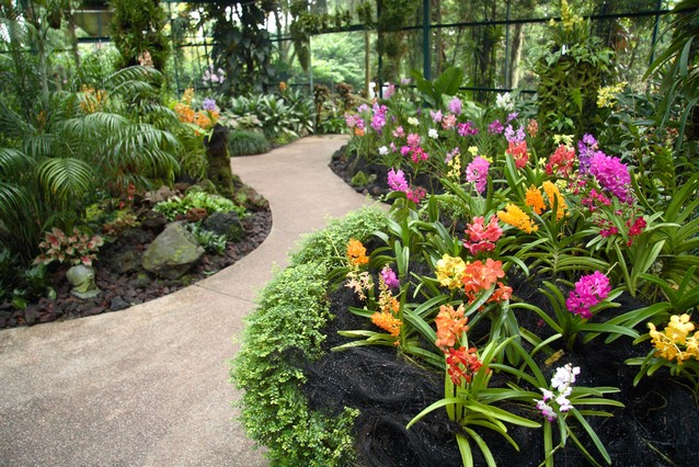Singapur zahrada orchidejí