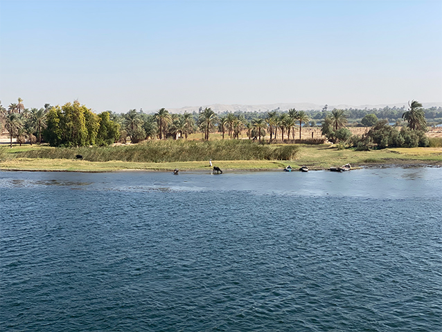 Zeleň kolem Nilu