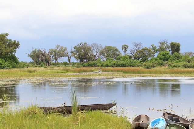 Národní park Okawango, Botwana, Afrika
