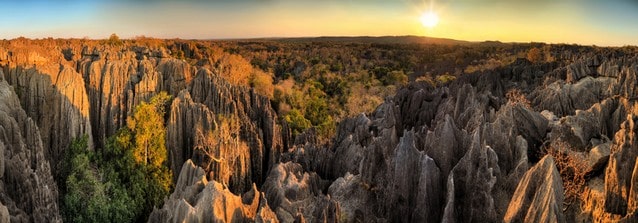 Tsinky kamenný les - Madagaskar