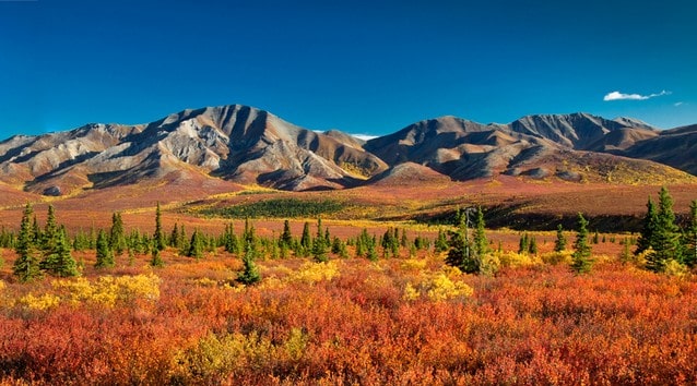 Park Denali, podzimní Aljaška