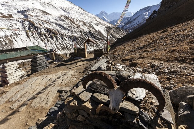 High Camp Thorong Pedi