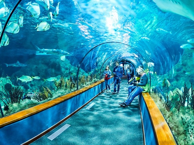 Loro park akvárium tenerife
