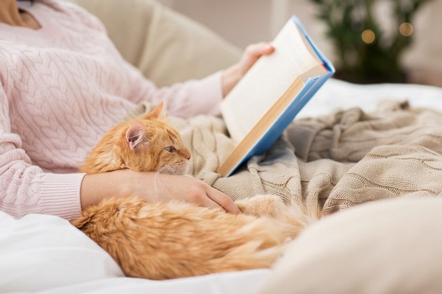 Kočka v klíně s knihou