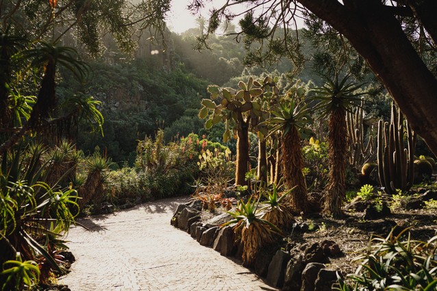 Botanická zahrada Gran Canaria