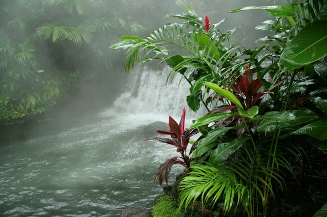 Horké prameny v džungli, Arenal, Kostarika