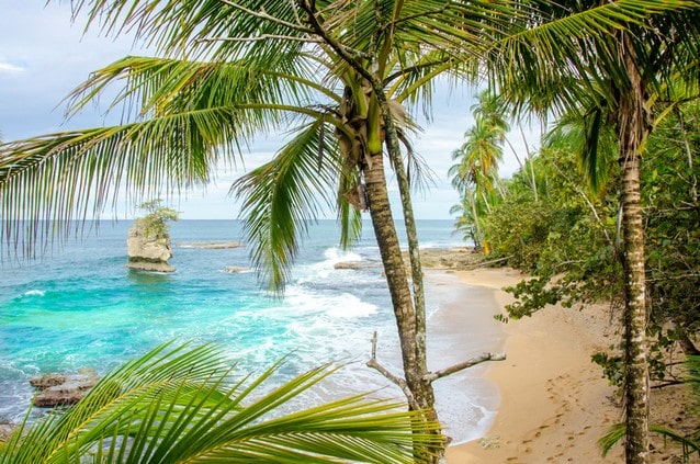 Kostarika - písečná pláž s palmou, Manzanillo
