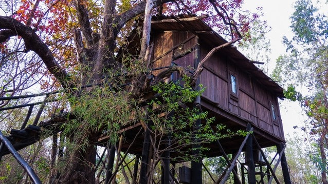 Glamping na stromě, stromový dům