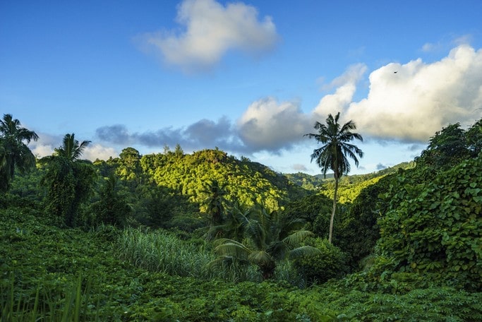 tropická džungle treking a turistika na Seychelách