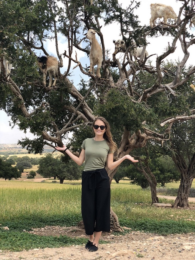 Kozy na strome v Maroku