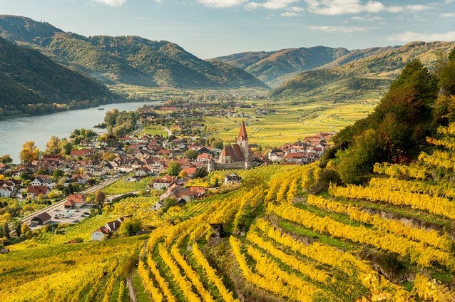 Vinobraní, podzim ve Wachau, Rakousko