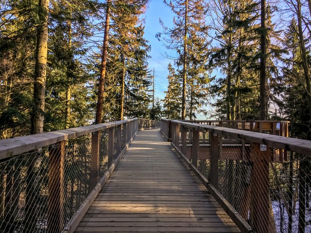 Šumava a Krkonoše za hranicemi 2