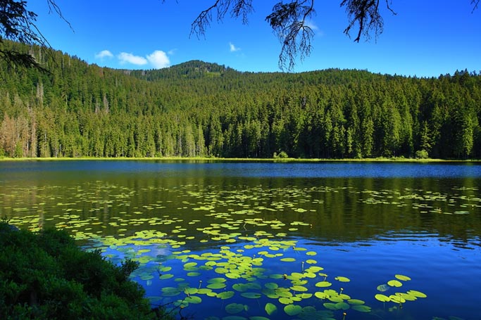 Šumava a Krkonoše za hranicemi 3