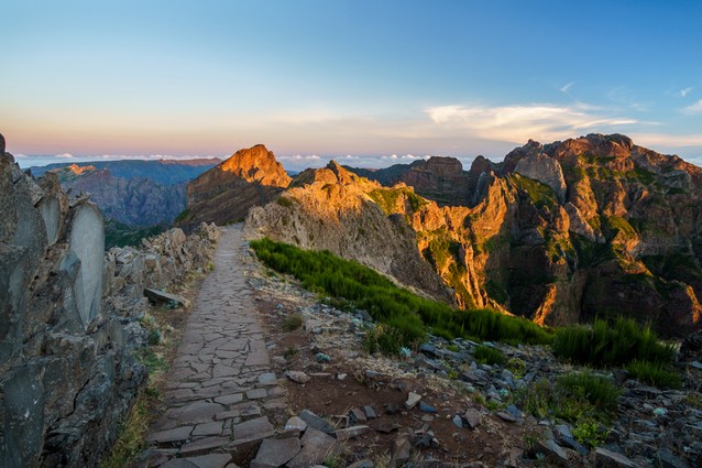 madeira-picodearieiroB