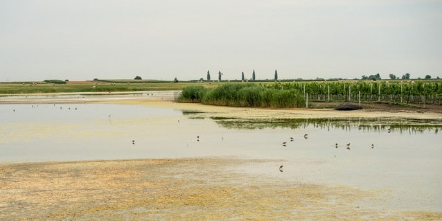 Vinařská oblast Burgenland - Neusiedlersee