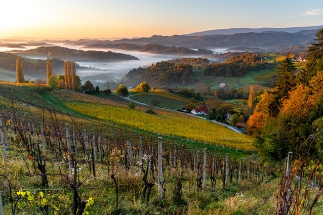 Vinice ve Štýrsku, Rakousko