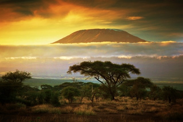Hora Kilimandžáro v oblacích při západu slunce, pohled ze savany