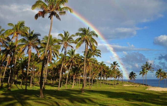 Duha nad palmami na velikonočním ostrově