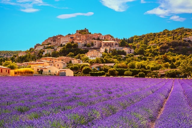 Levandulové pole v Provence a vesnice
